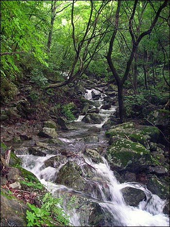 하산길에 만난 계곡. 지금도 그 우렁찬 소리가 들리는 듯하다. 